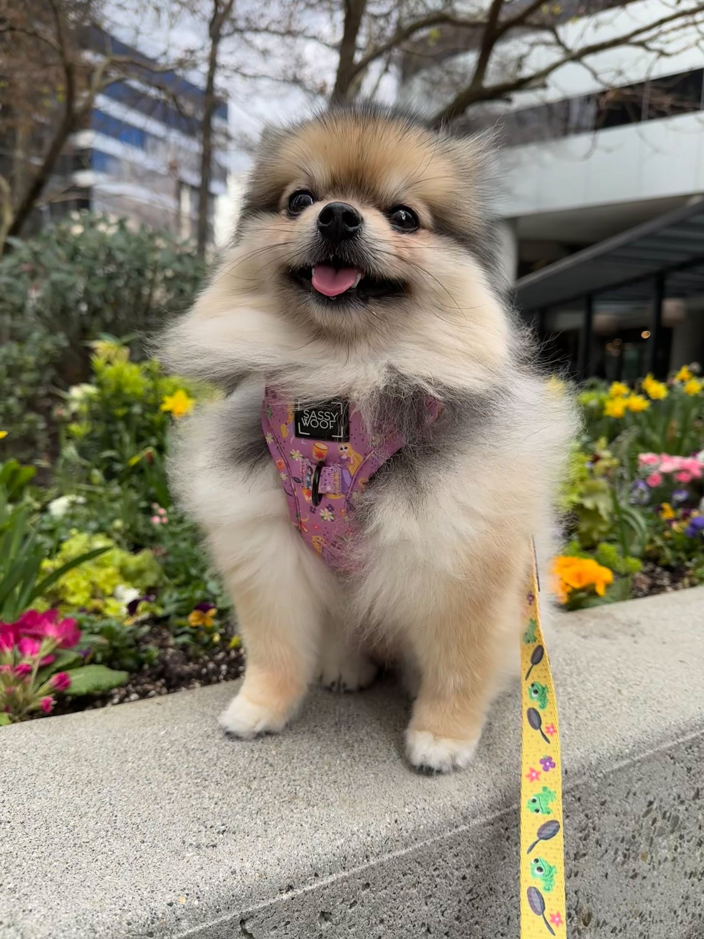 Dog Adjustable Harness - Disney's Rapunzel