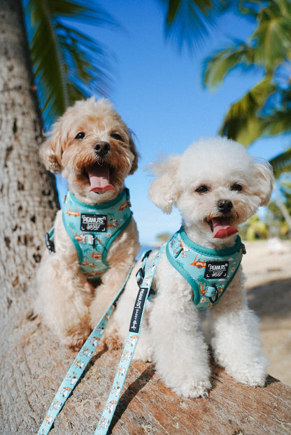 Dog Adjustable Harness - Peanuts™ Road Tripping