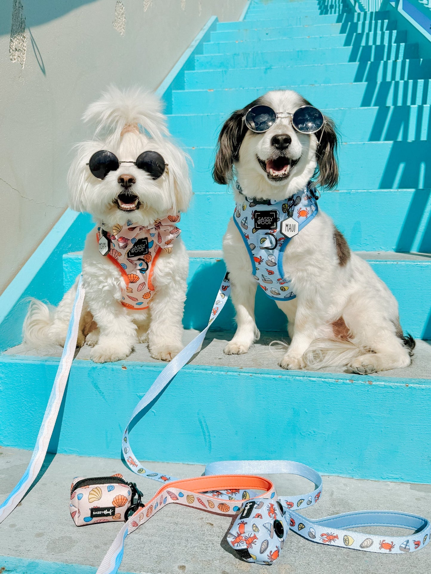 Dog Adjustable Harness - Shell Yeah