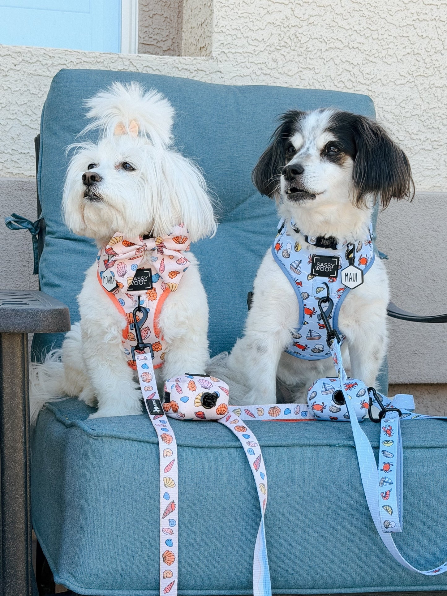 Dog Adjustable Harness - Shell Yeah