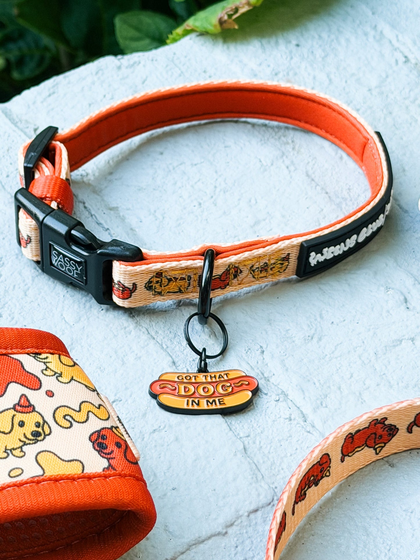 Dog Collar - Hot Dawg