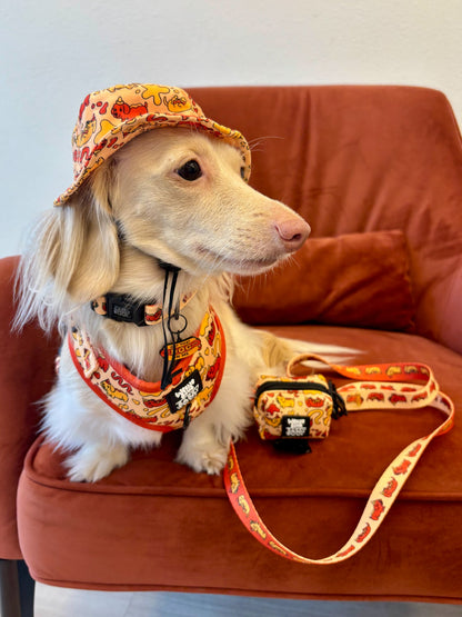 Dog Leash - Hot Dawg