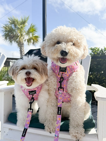 Dog Adjustable Harness - Disney's Rapunzel
