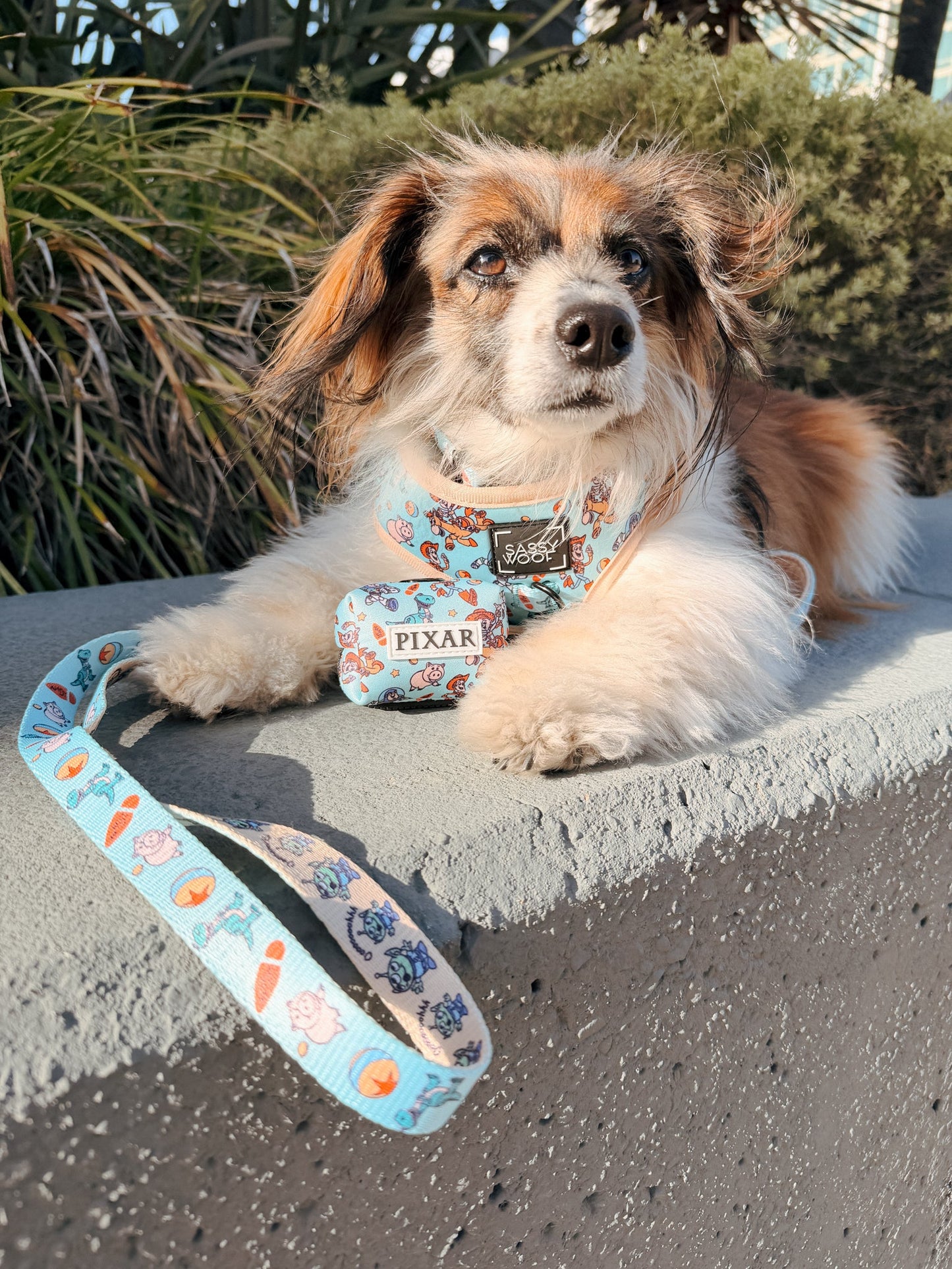 Dog Adjustable Harness - Disney and Pixar's Toy Story