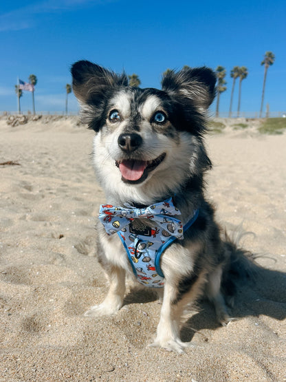 Dog Two Piece Bundle - Coastal Cuties