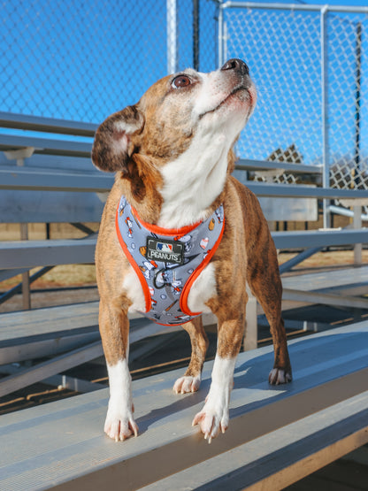 Dog Two Piece Bundle - MLB™ x Peanuts™ Chicago White Sox™