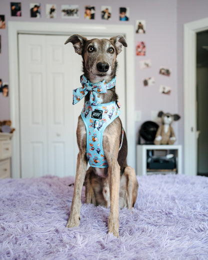 Dog Collar - Disney and Pixar's Up