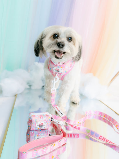 Dog Two Piece Bundle - Care Bears™ Cheer Bear