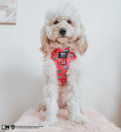 Dog Adjustable Harness - The Powerpuff Girls™ (Love)