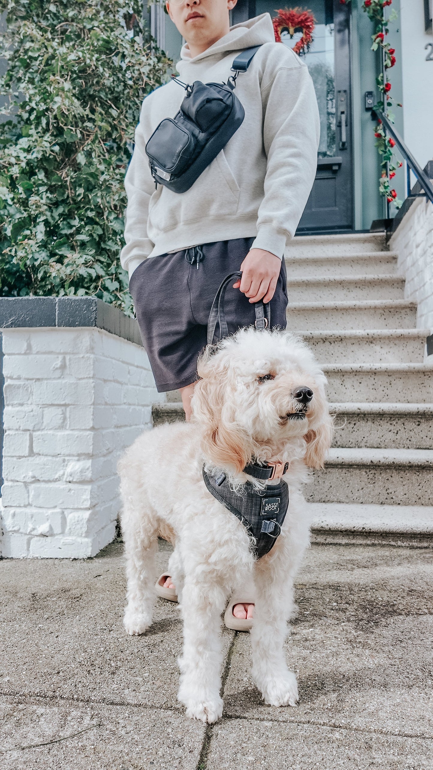 Dog Parent Bag + Strap