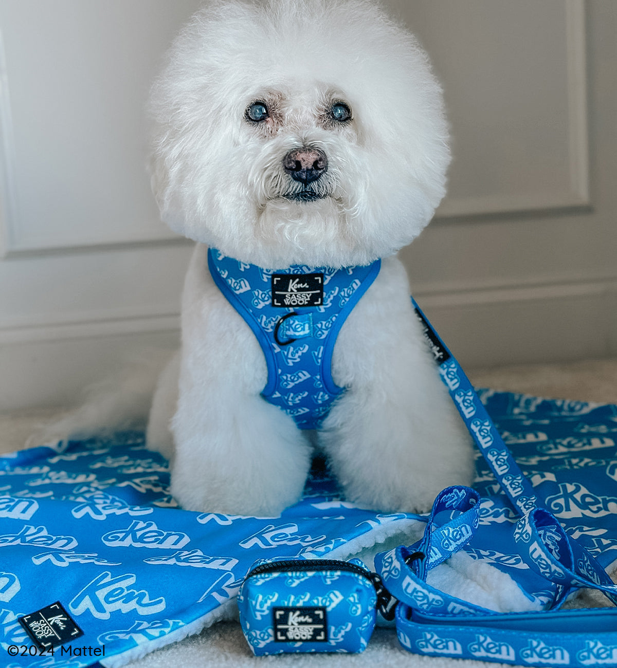 Dog Waste Bag Holder - KEN™