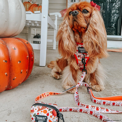 Dog Four Piece Bundle - Peanuts™ Harvest