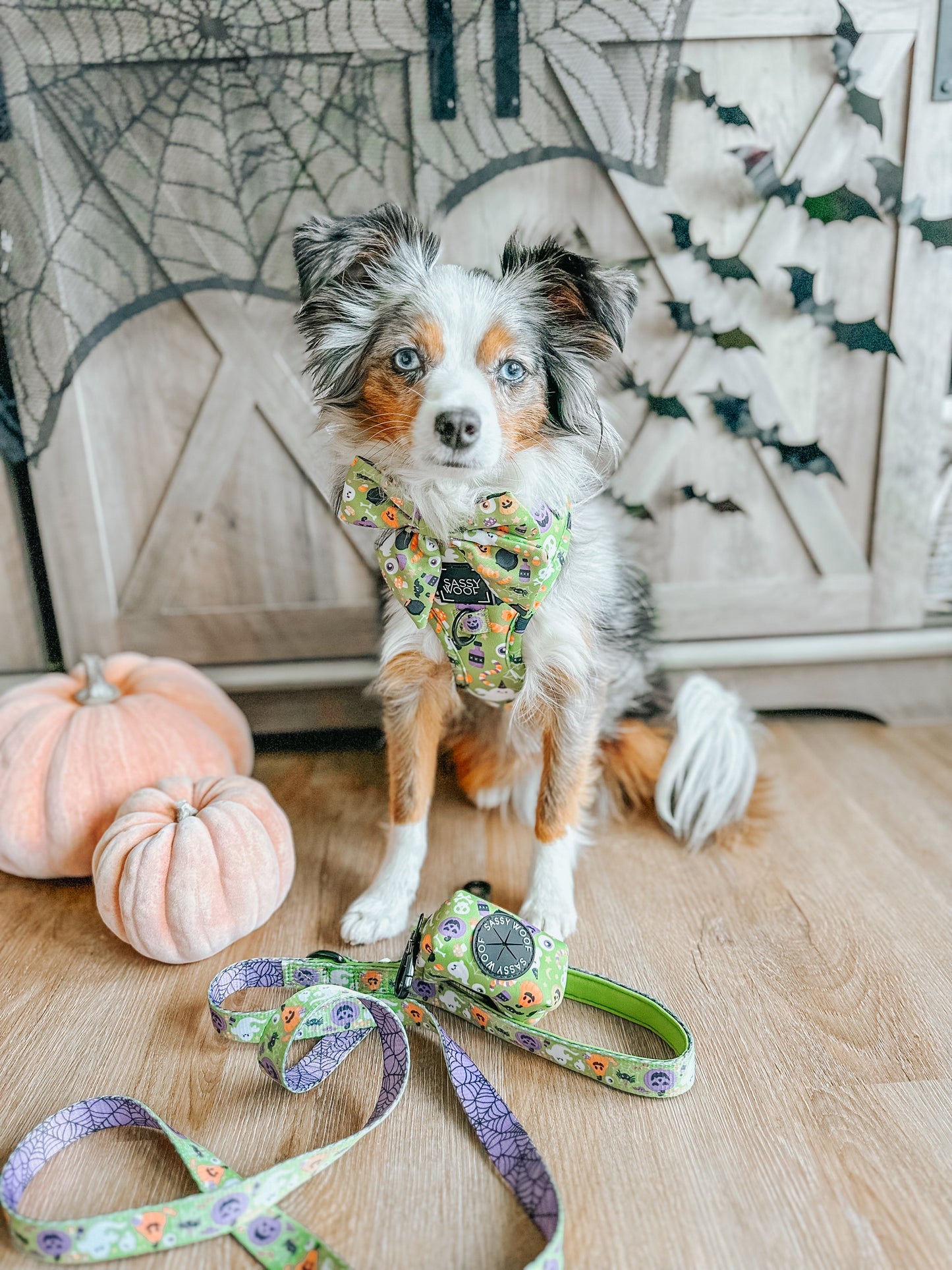 Dog Waste Bag Holder - Haunt Mess