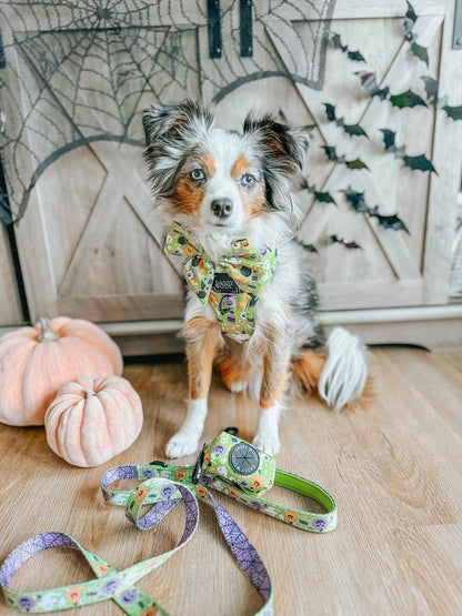 Dog Waste Bag Holder - Haunt Mess