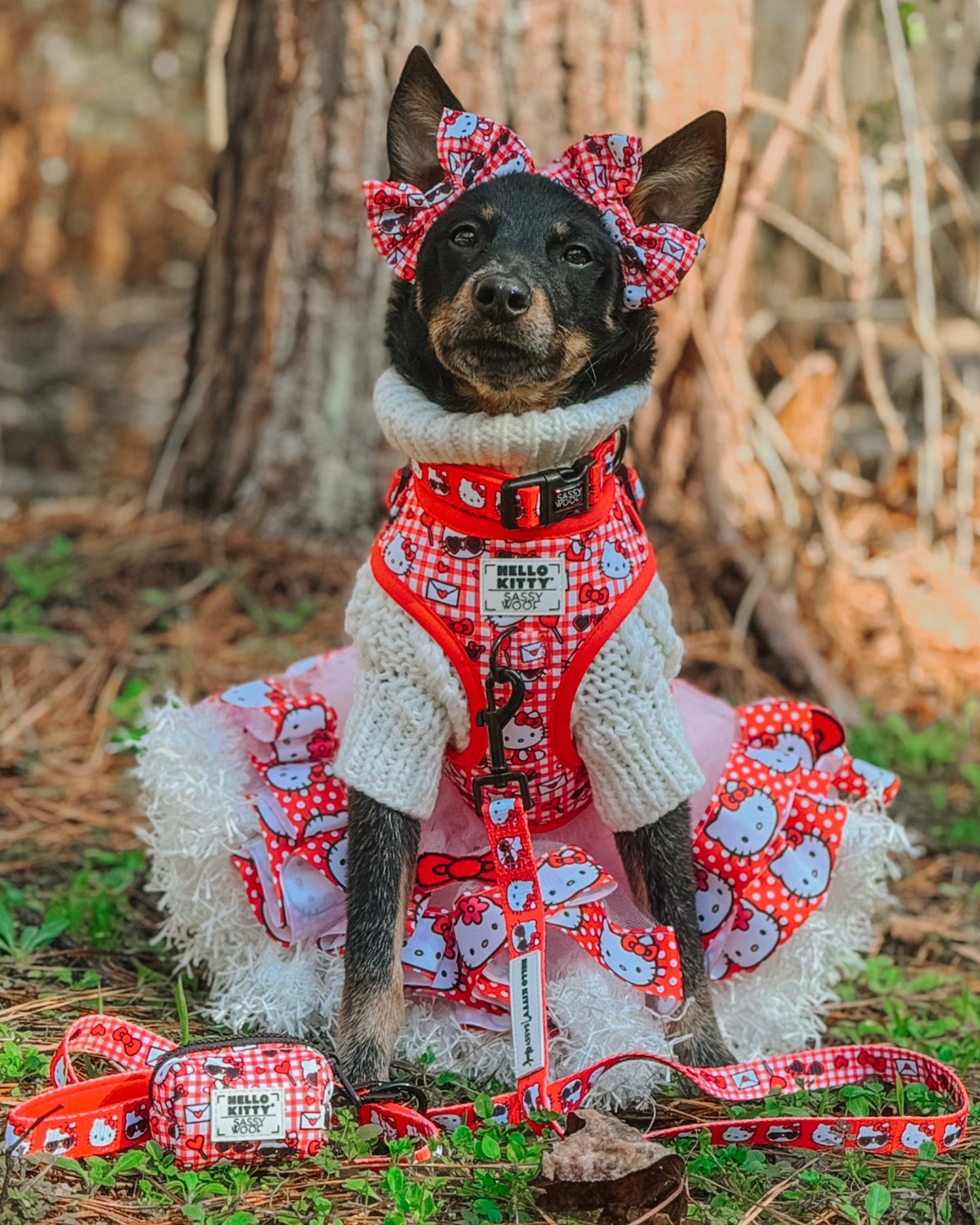 Dog Four Piece Bundle - Hello Kitty® Red Classic