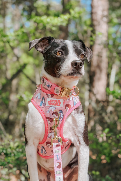 Dog Two Piece Bundle - STAR WARS™ Princess Leia