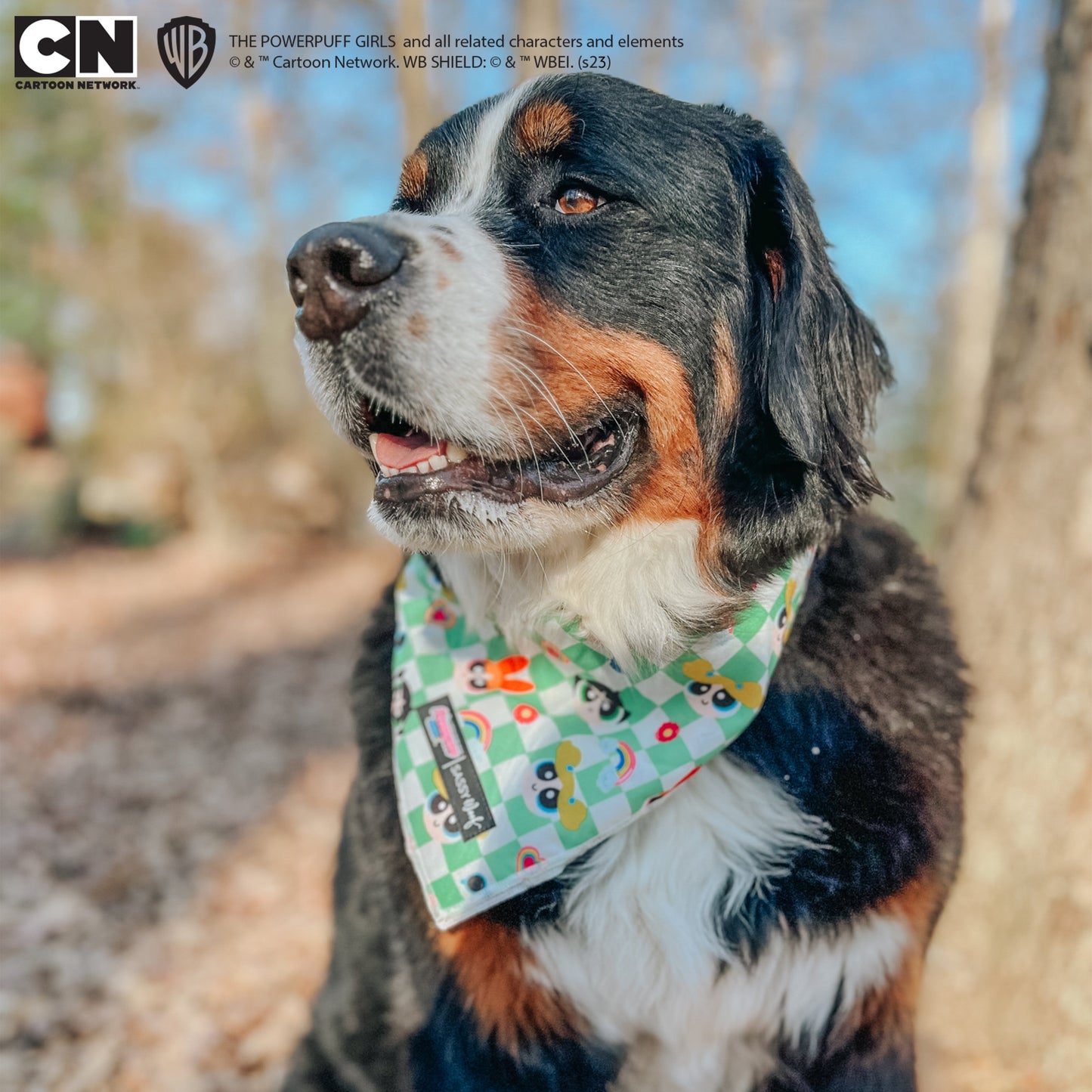 Dog Bandana - The Powerpuff Girls™ (Green)