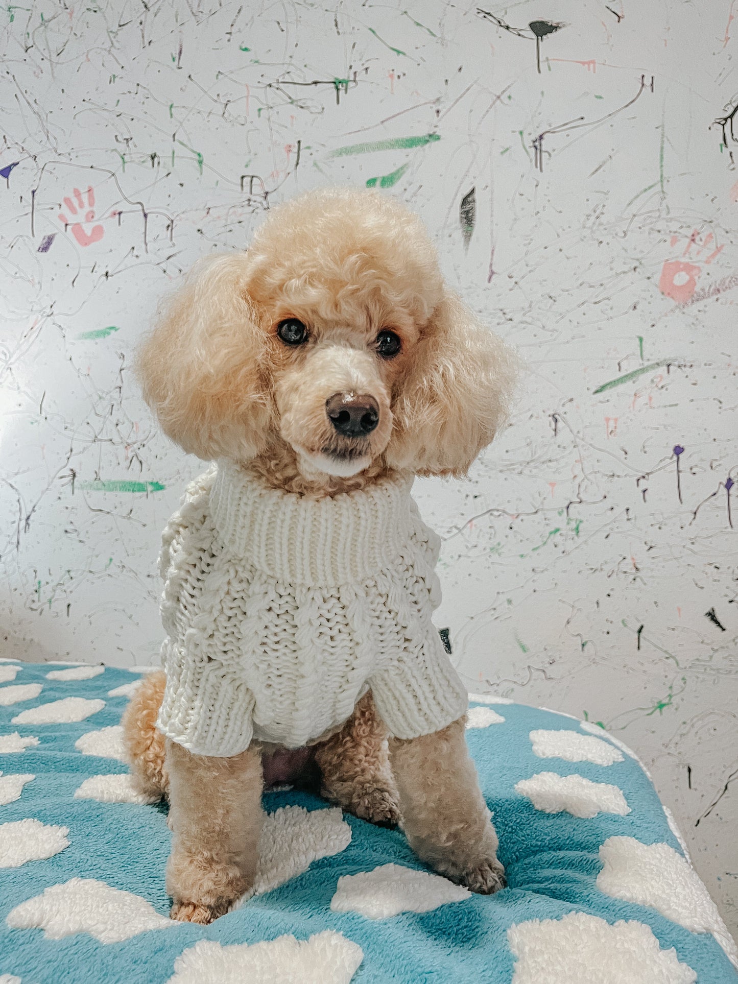 Pet Cable Knit Sweater - White