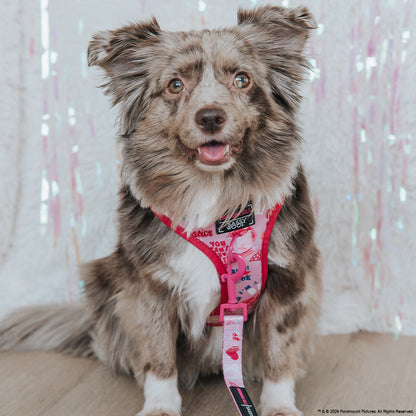 Dog Two Piece Bundle - Mean Girls™