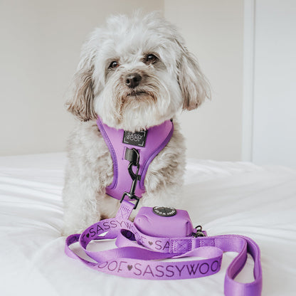 Dog Leash - Neon Purple