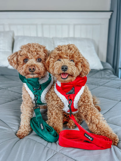 Dog Two Piece Bundle - Nice