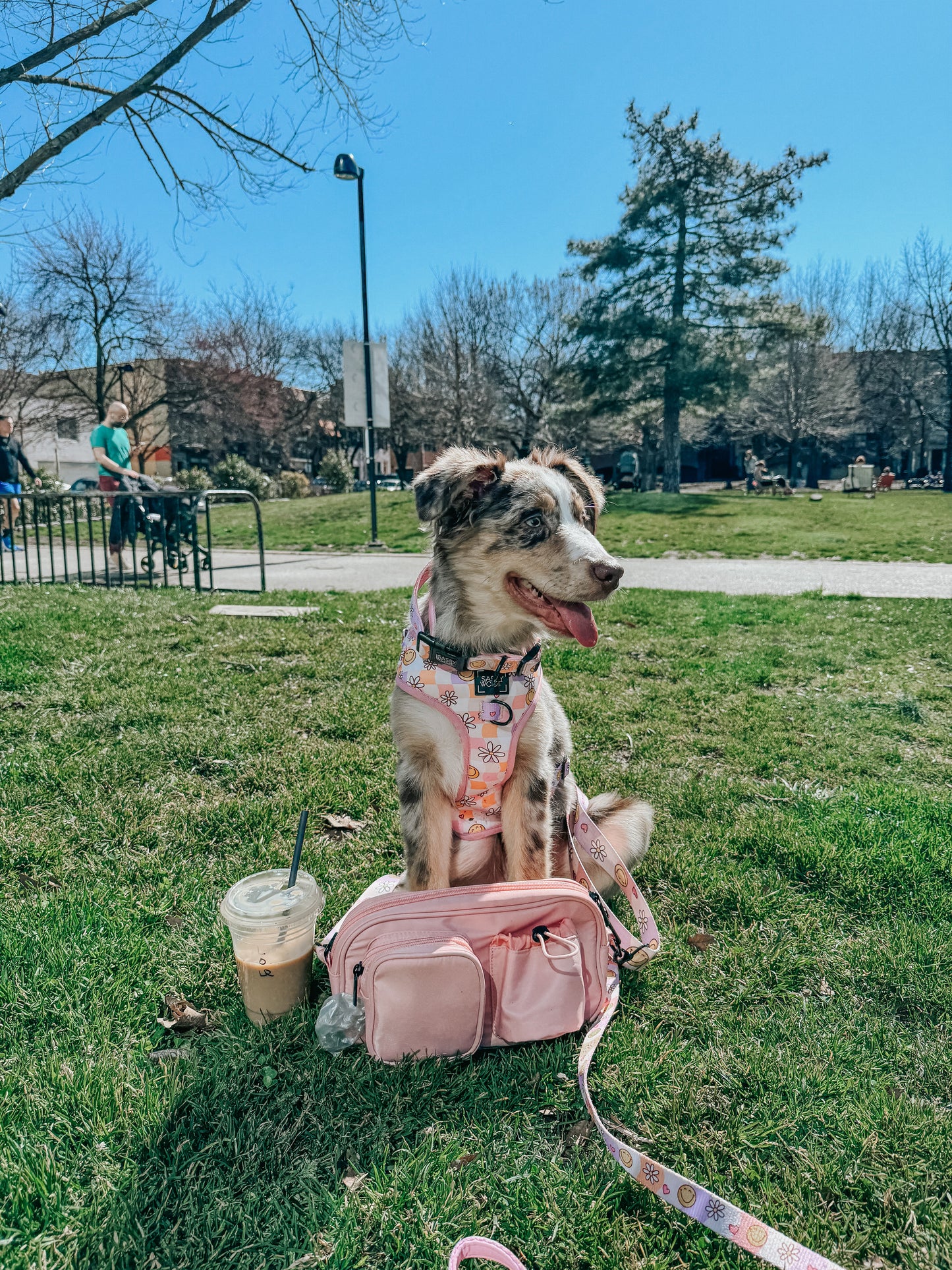 Dog Parent Bag + Strap