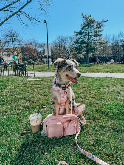 Dog Parent Bag + Strap
