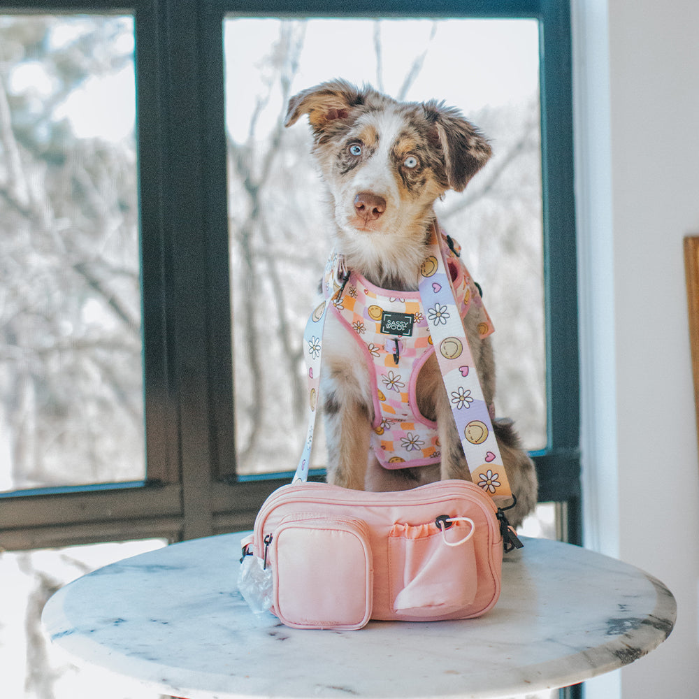 Dog Parent Bag - Strap Only