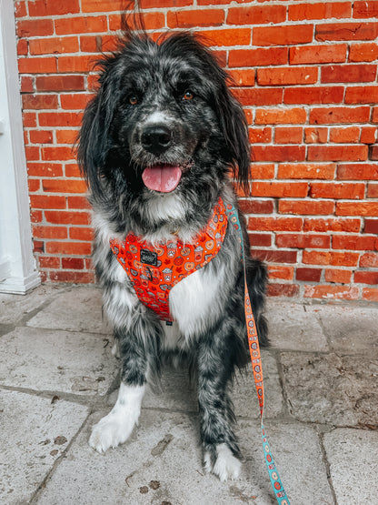 Dog Collar - Pupkin Donuts
