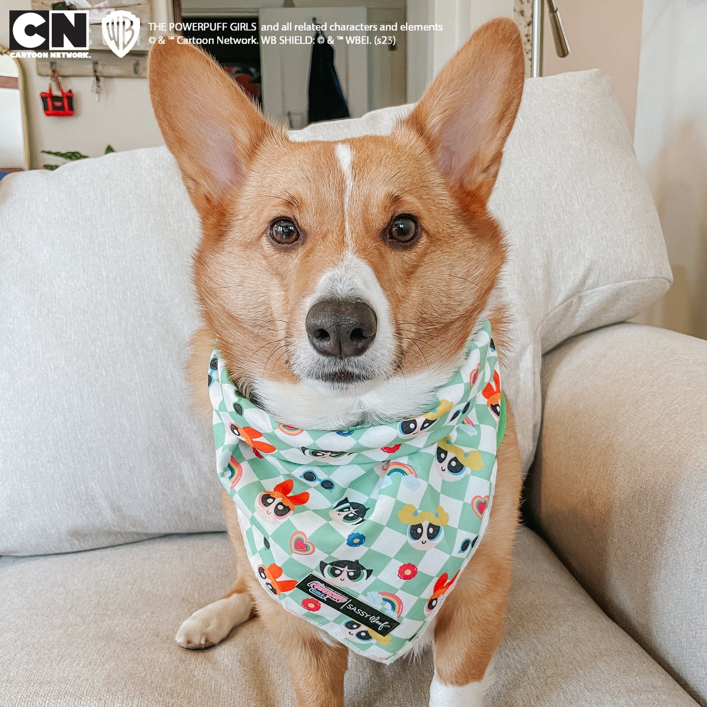 Dog Bandana - The Powerpuff Girls™ (Green)