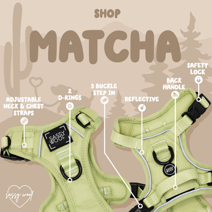 Dog Two Piece Bundle - Matcha