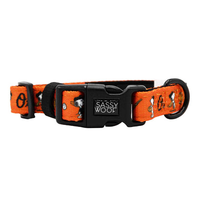 Harness Three Piece Bundle - MLB™ x Peanuts™ Baltimore Orioles™