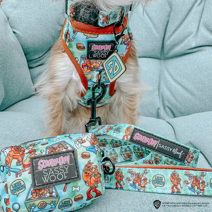 Collar Tag - Scooby-Doo™