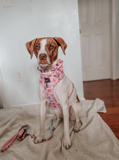 Dog Collar - Out of Office