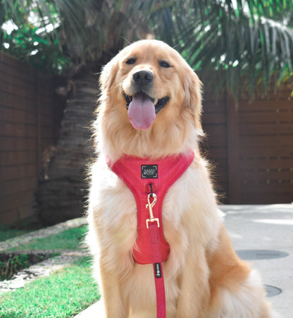Dog Leash - Merlot