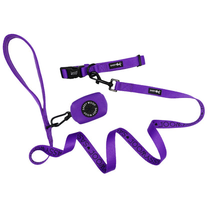 Dog Collar Three Piece Bundle - Neon Purple