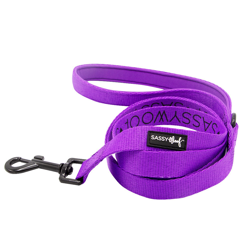 Dog Collar Three Piece Bundle - Neon Purple