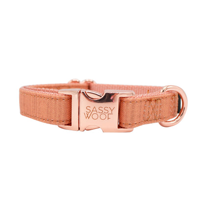 Dog Collar Three Piece Bundle - Apple Cider
