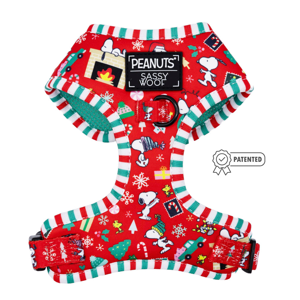 Dog Two Piece Bundle - Peanuts™ Beagle Bells