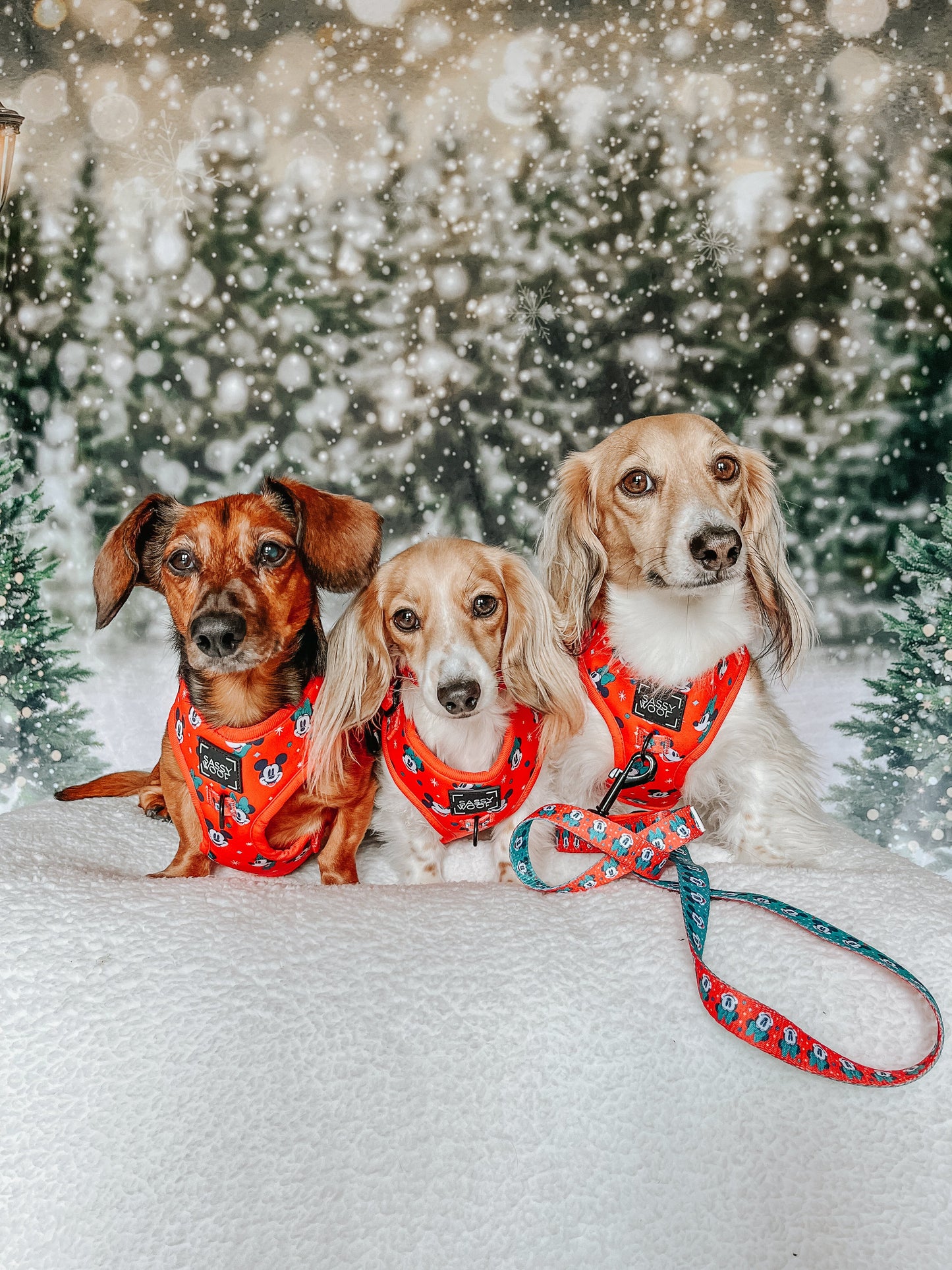 Harness Three Piece Bundle - Disney Holiday Collection