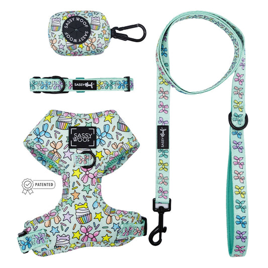 Dog Four Piece Bundle - Pup Pup Hooray