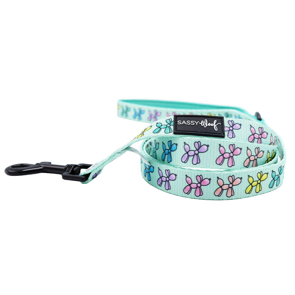 Dog Four Piece Bundle - Pup Pup Hooray