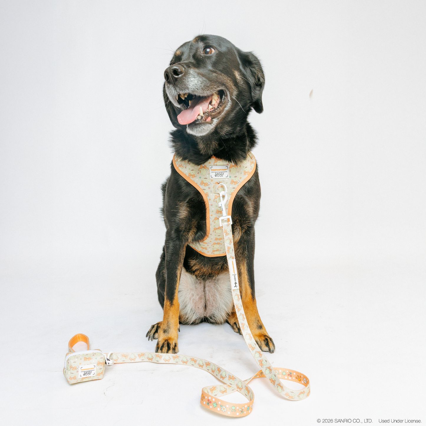 Dog Two Piece Bundle - Pompompurin™
