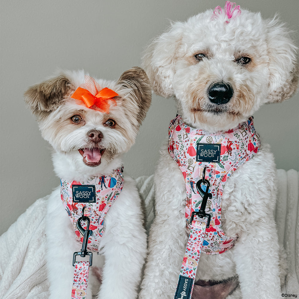 Harness Three Piece Bundle - Disney's Aurora
