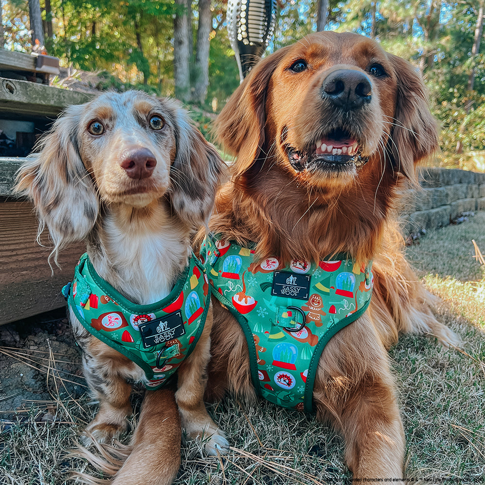 Dog Two Piece Bundle -  Elf™