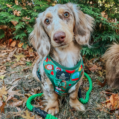 Dog Two Piece Bundle -  Elf™