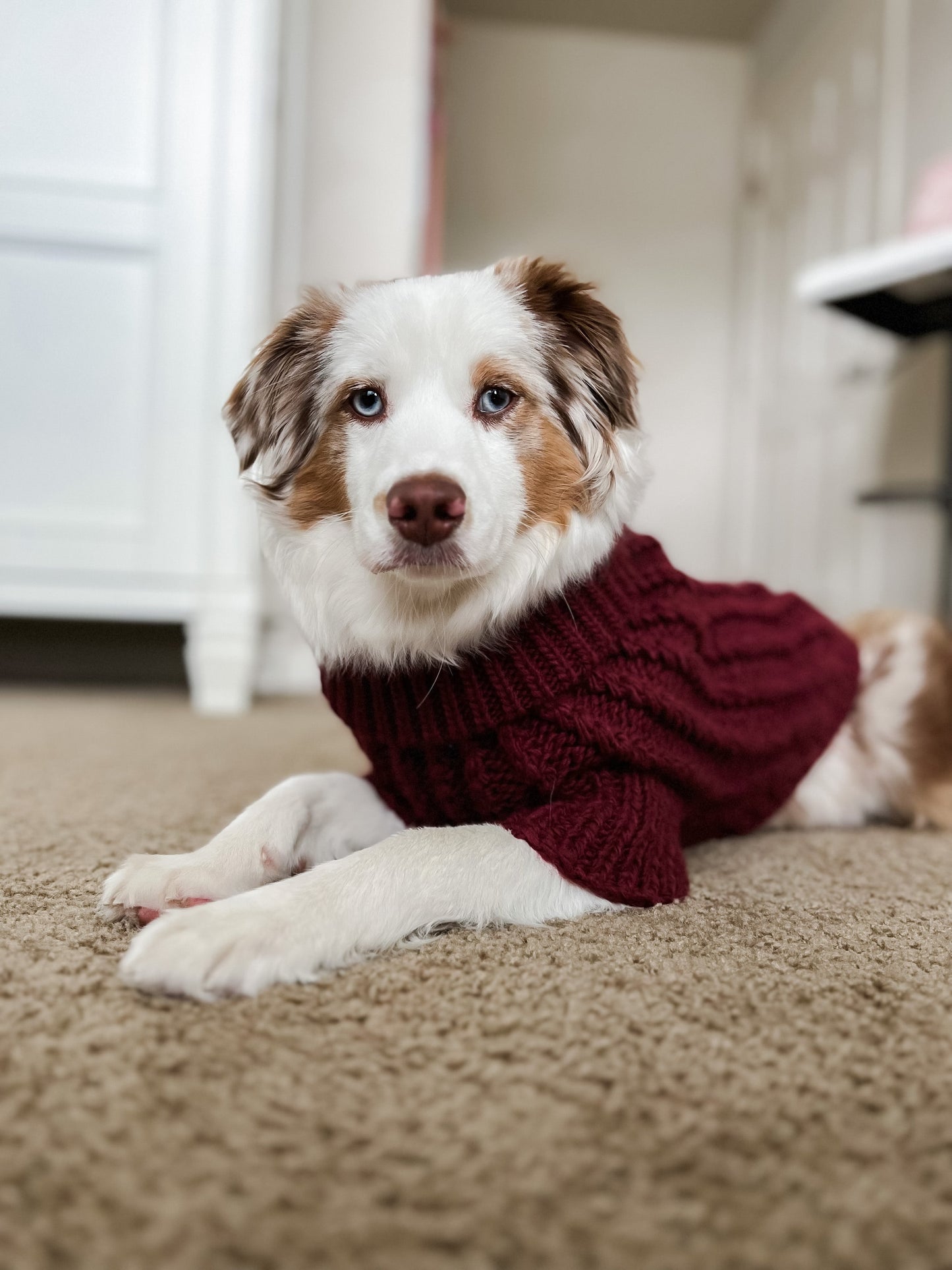 Pet Cable Knit Sweater - Red