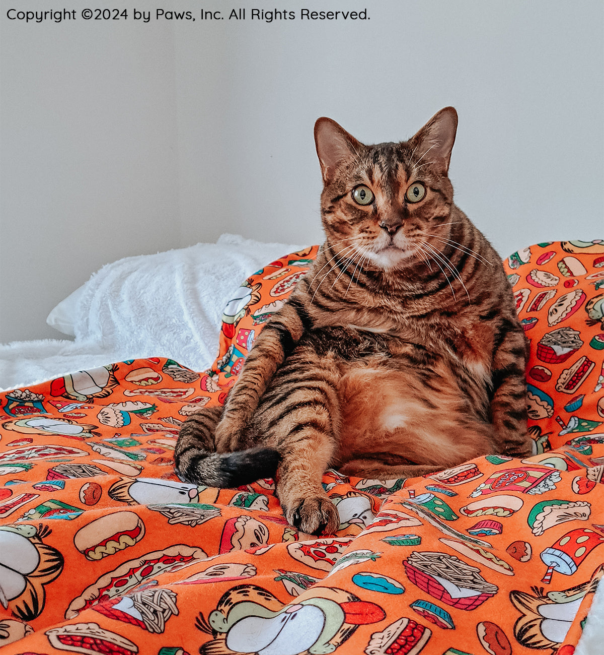 Pet Blanket - Garfield™