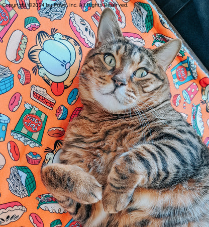 Pet Blanket - Garfield™
