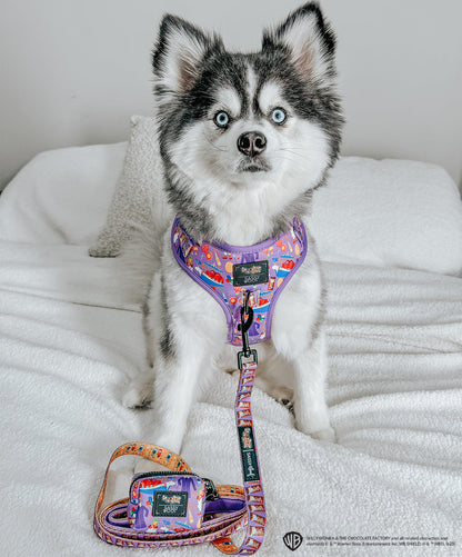 Dog Adjustable Harness - Willy Wonka & The Chocolate Factory™